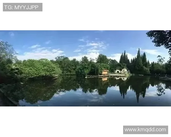 重庆排球队引领最新排球配合TOP10榜单展现团队默契与实力