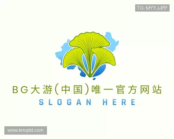 解读BG大游唯一官方网站